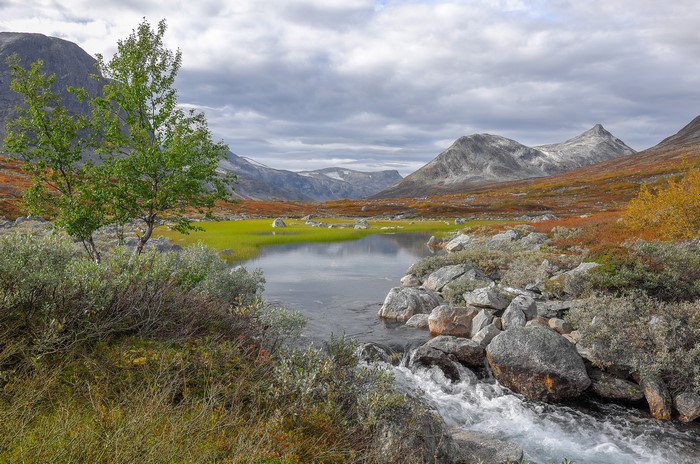 River flowing through a mountain valley in Norway