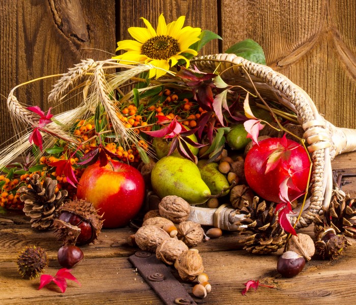 Cornucopia of Autumn Harvest Fruits and Nuts