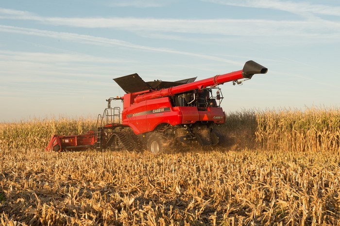 Red Case IH combine harvester in a cornfield