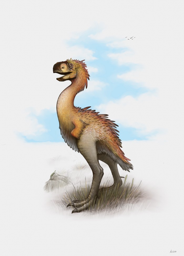 Gastornis painting
