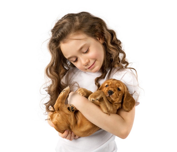 Girl holding a puppy on white background