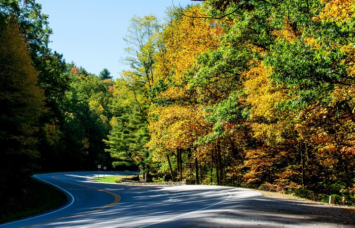 Road through Vogel State Park in Autumn