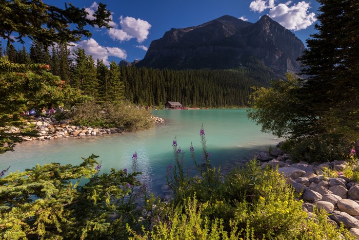 Lake Louise with Mountains and Forest in Alberta, Canada