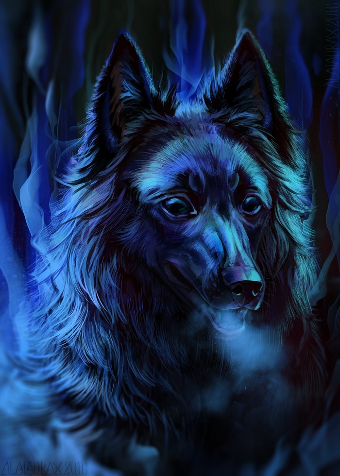 A dark wolf with blue flames