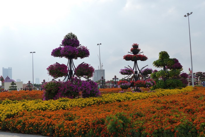 Miracle Garden Dubai with colorful flower beds and topiary trees