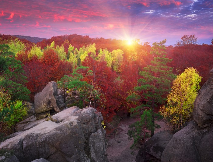 4K Sunrise over Autumn Forest in Zakarpattia, Ukraine