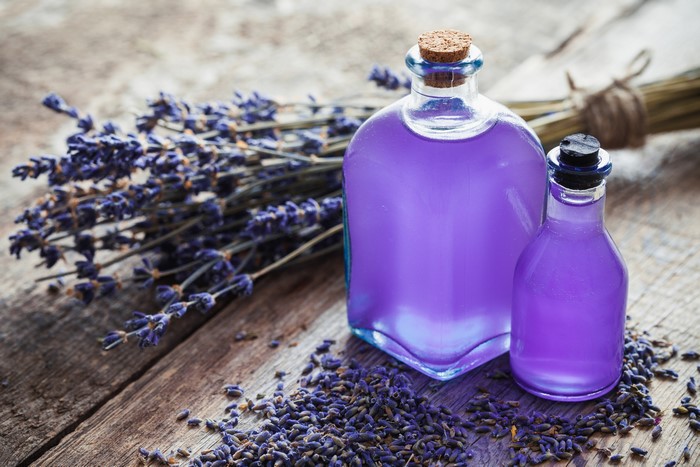 Lavender oil in bottles with lavender sprigs