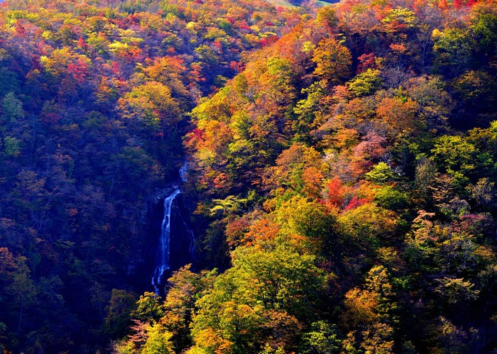 Waterfall in Zao Onsen, Yamagata, Japan during autumn