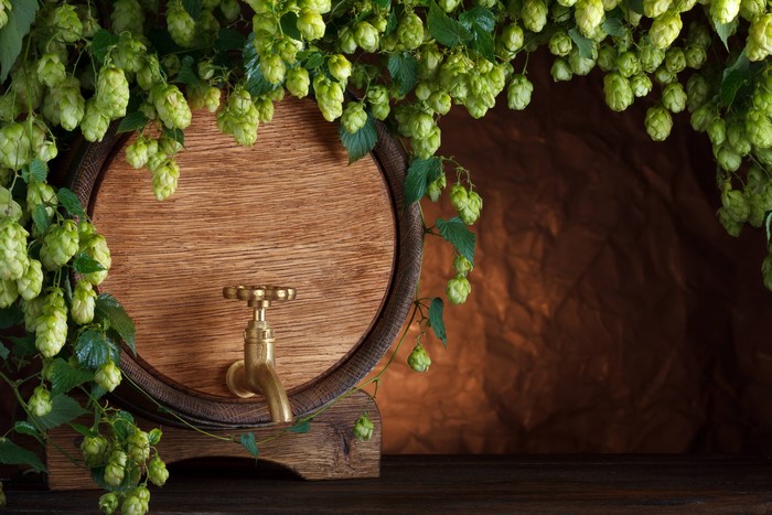 Wooden barrel with hops and tap