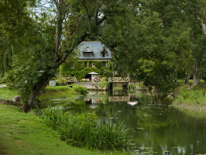 House covered in ivy with a pond and bridge in France