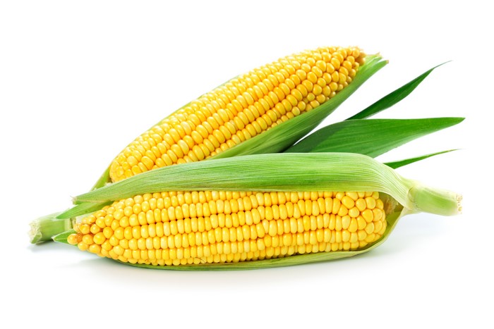 Two ears of corn with green leaves on white background