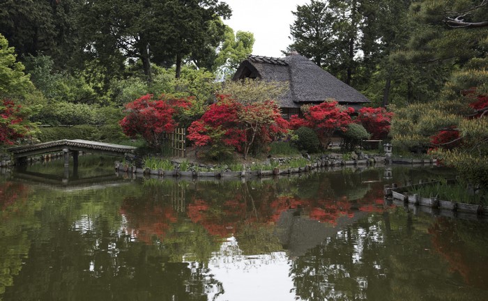 Japanese garden with pond, bridge, and thatched roof house