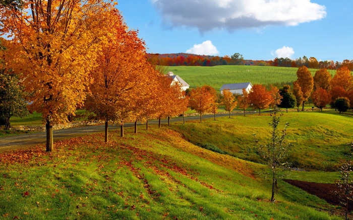 Autumn landscape with trees and farmhouses