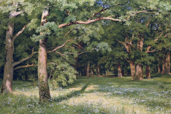 4K Ivan Shishkin The Forest Clearing