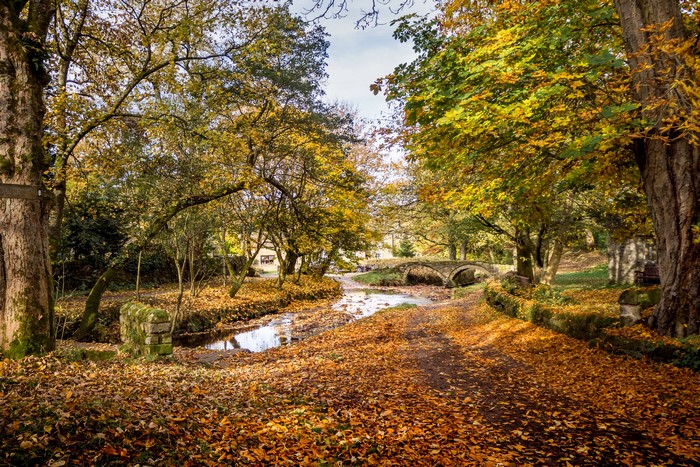 Autumn scene in Wycoller Country Park, Lancashire, United Kingdom