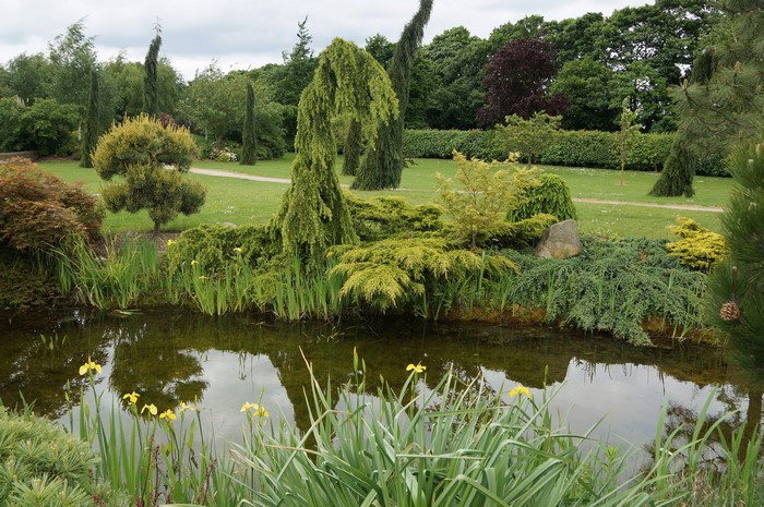 Walkers Gardens Blaxton Pond with Shrubs and Trees