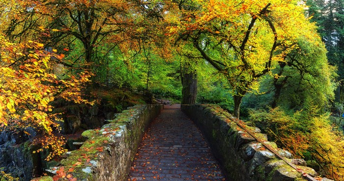Autumn bridge in Dunkeld, Scotland