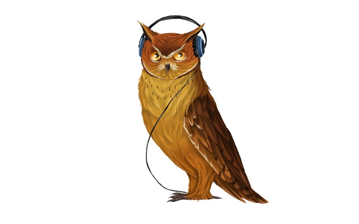 Painting of an owl wearing headphones