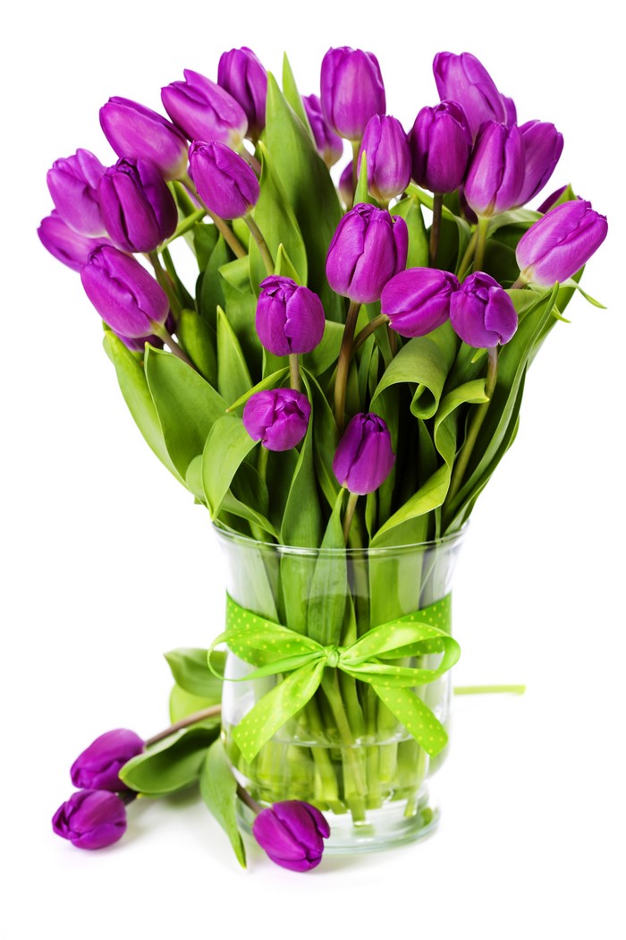 Purple Tulips in a Glass Vase with Green Ribbon