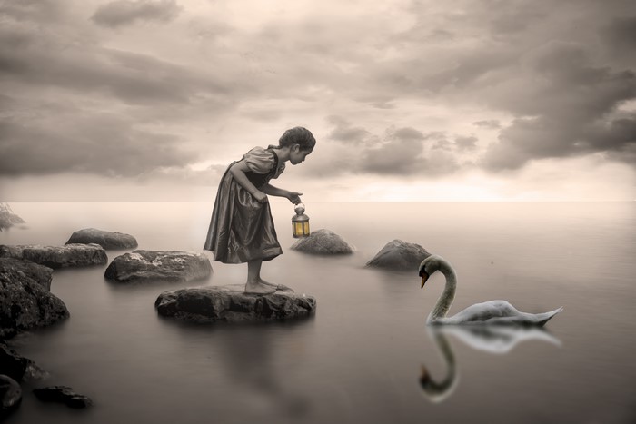 Girl with Lantern and Swan on Stones