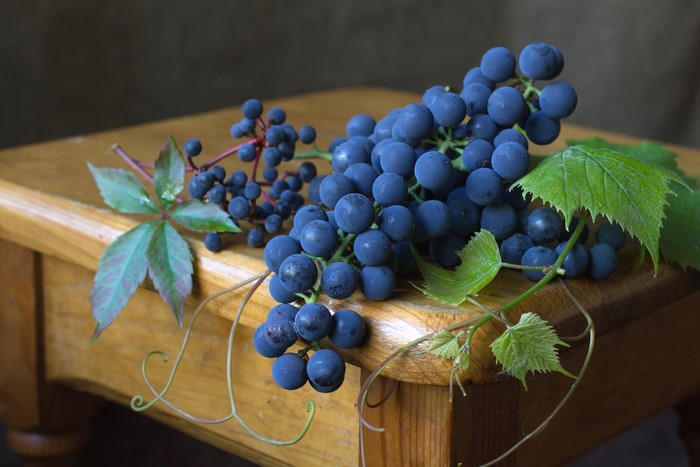 Blue Grapes with Leaves on Wooden Table