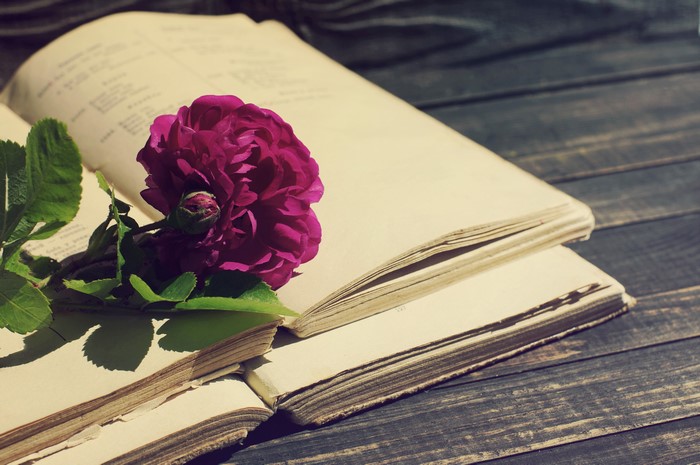 Open books with a purple rose