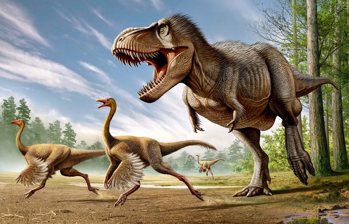 Tyrannosaurus Rex hunting Struthiomimus dinosaurs