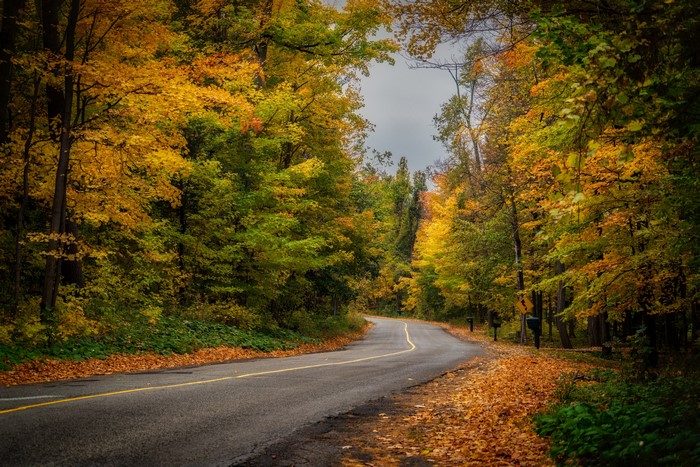 Road through autumn forest with colorful trees