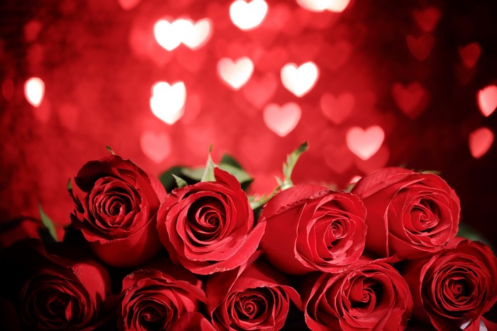 Red Roses with Heart Bokeh