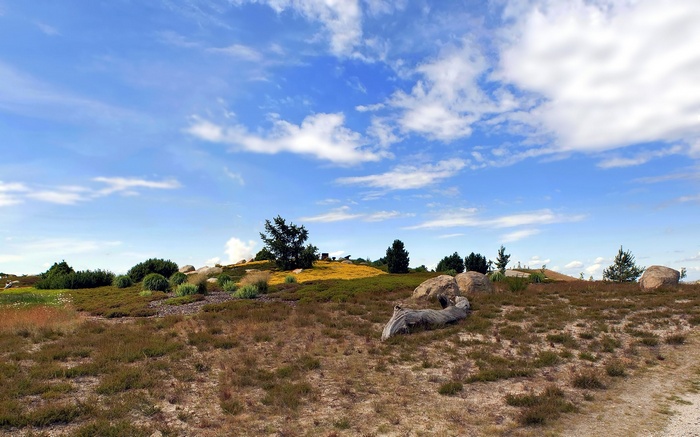 Hillside with scattered trees and rocks under a blue sky
