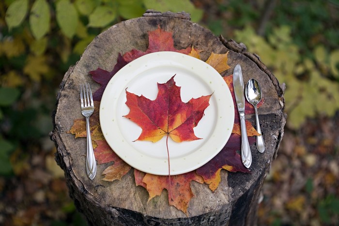 Table setting on a tree stump with autumn leaves