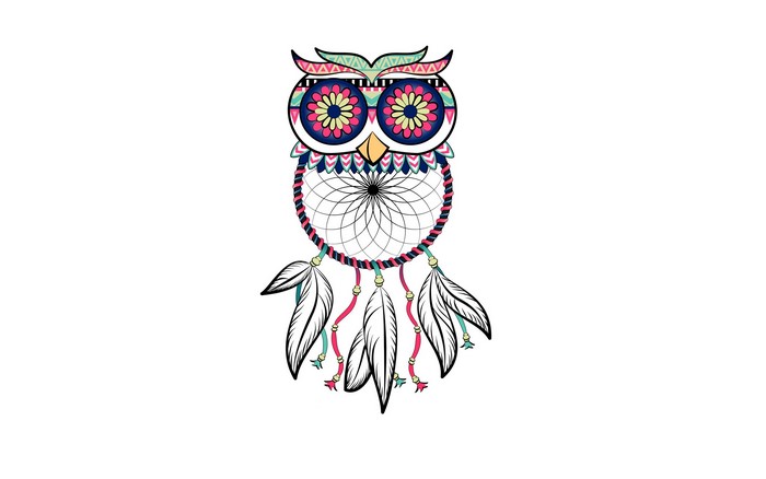 Tribal owl dreamcatcher with feathers