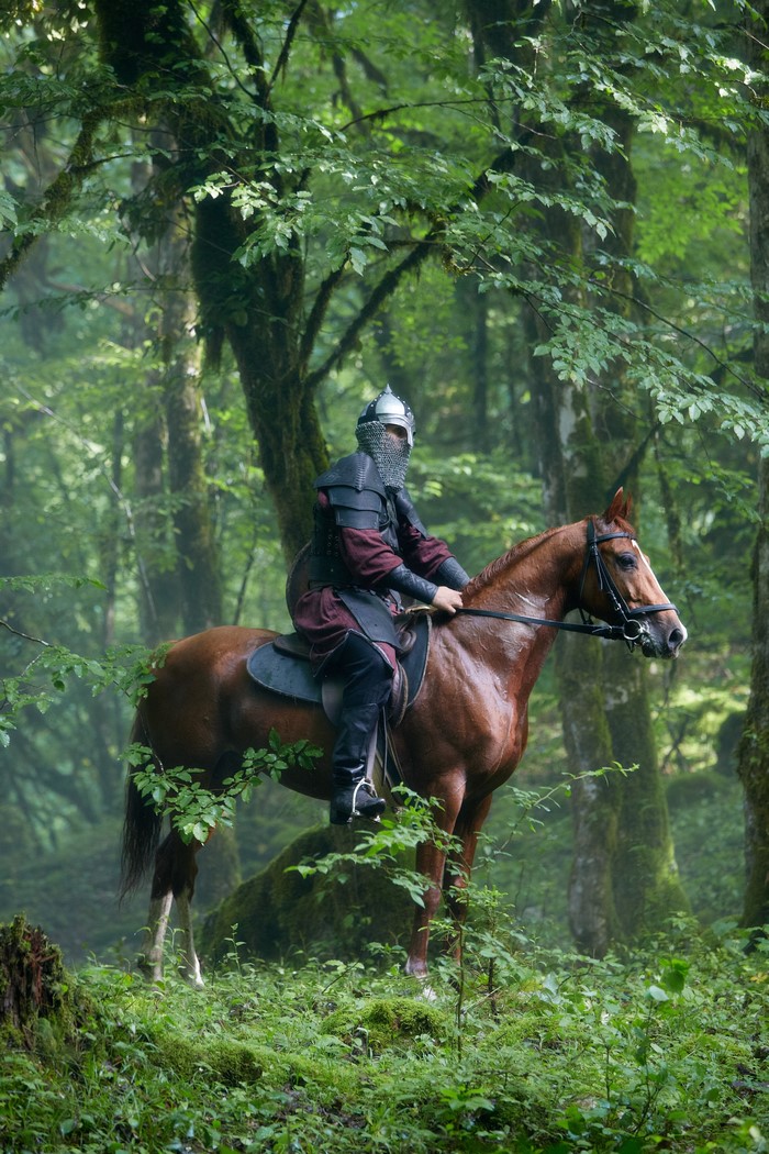 Warrior on horseback in a forest
