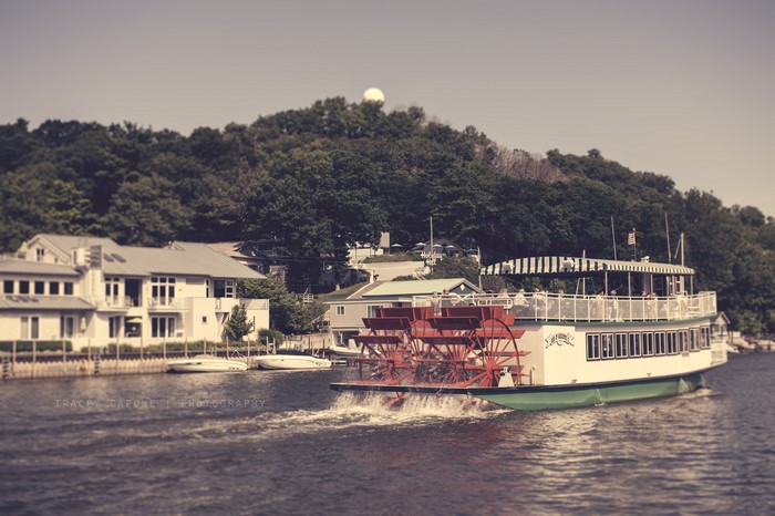 Riverboat on a lake with houses and trees