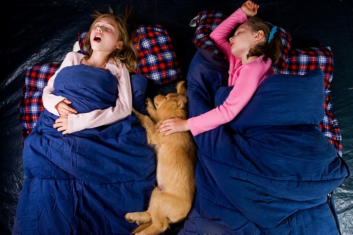 Two little girls and a puppy sleeping