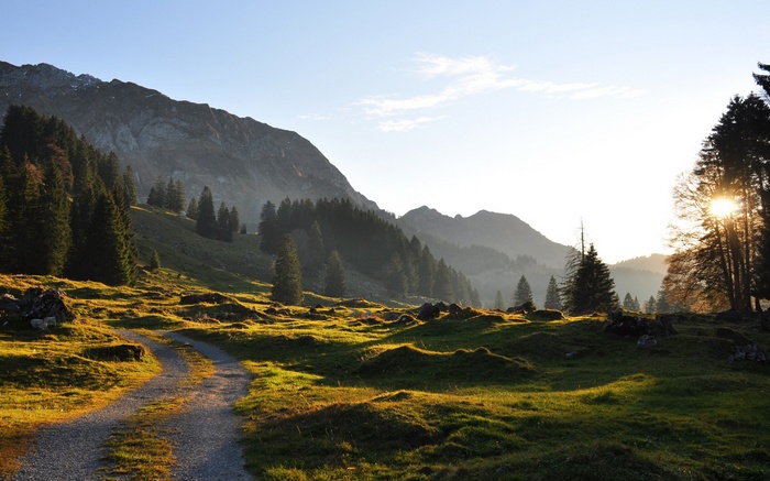 Mountain landscape with a path and trees at sunset