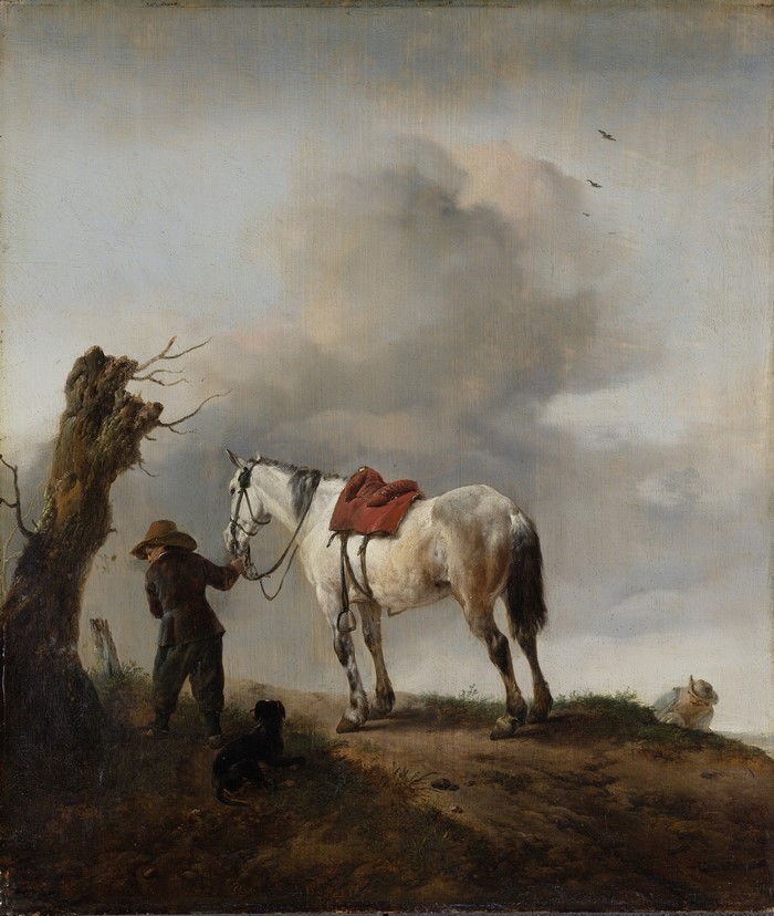The White Horse by Philips Wouwerman