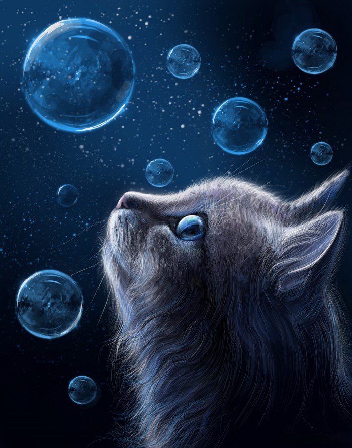 A cat looking at soap bubbles