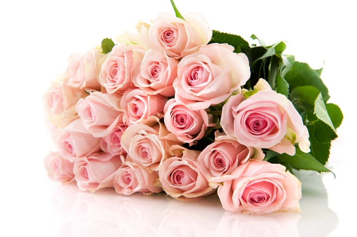 Bouquet of Pink Roses