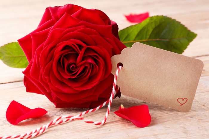 Red Rose with Blank Tag and Heart