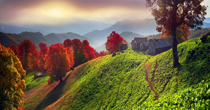Autumn Scenery of Zakarpattia, Ukraine with Houses and Trees