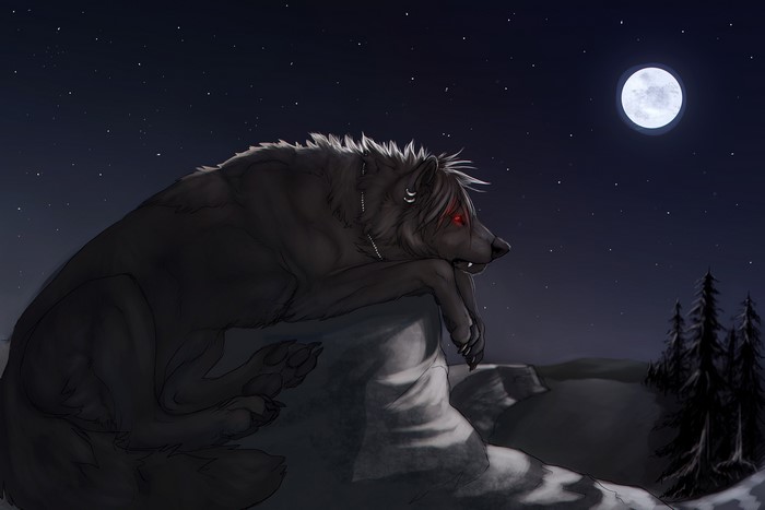 Wolf resting on a rock under the night sky