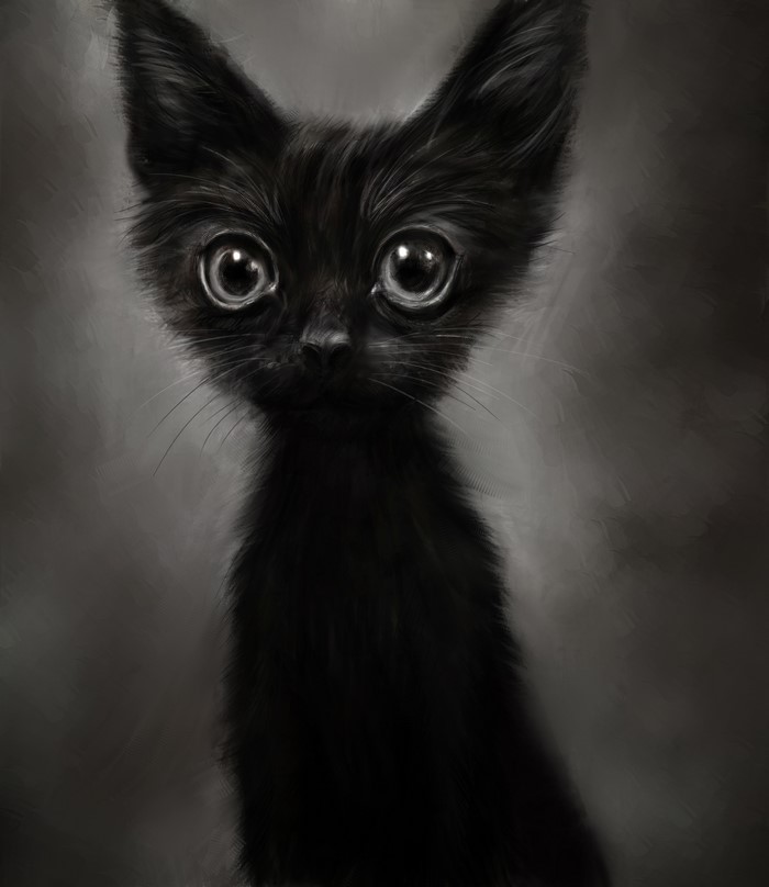 Black Kitten Painting Art