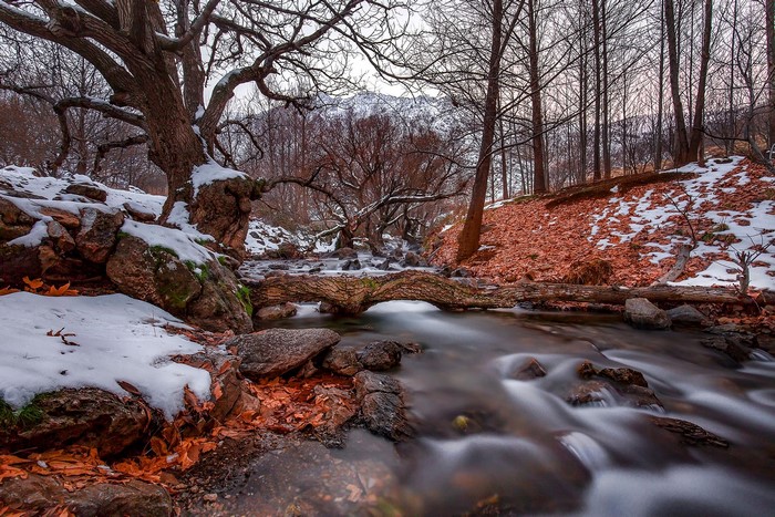 Autumn stream with fallen leaves and snow