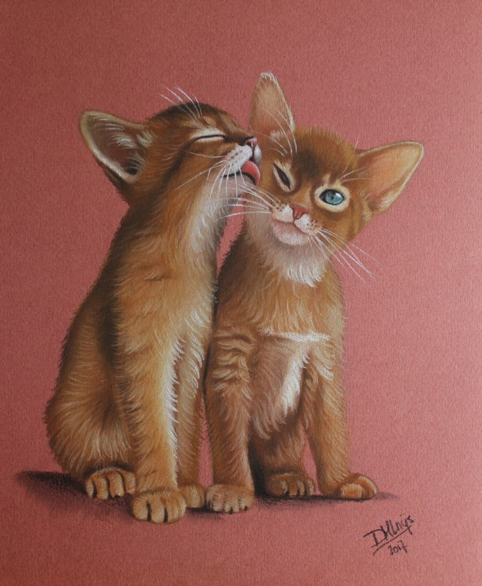 Two Abyssinian kittens licking each other