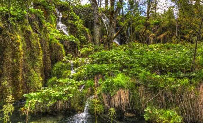 Waterfalls and lush vegetation in Plitvice National Park, Croatia