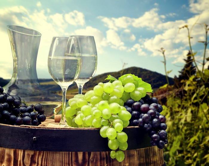 Grapes and wine on a barrel with a vineyard background