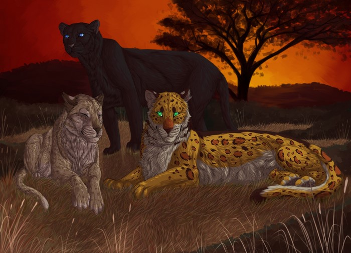 Leopards and Panther painting at sunset