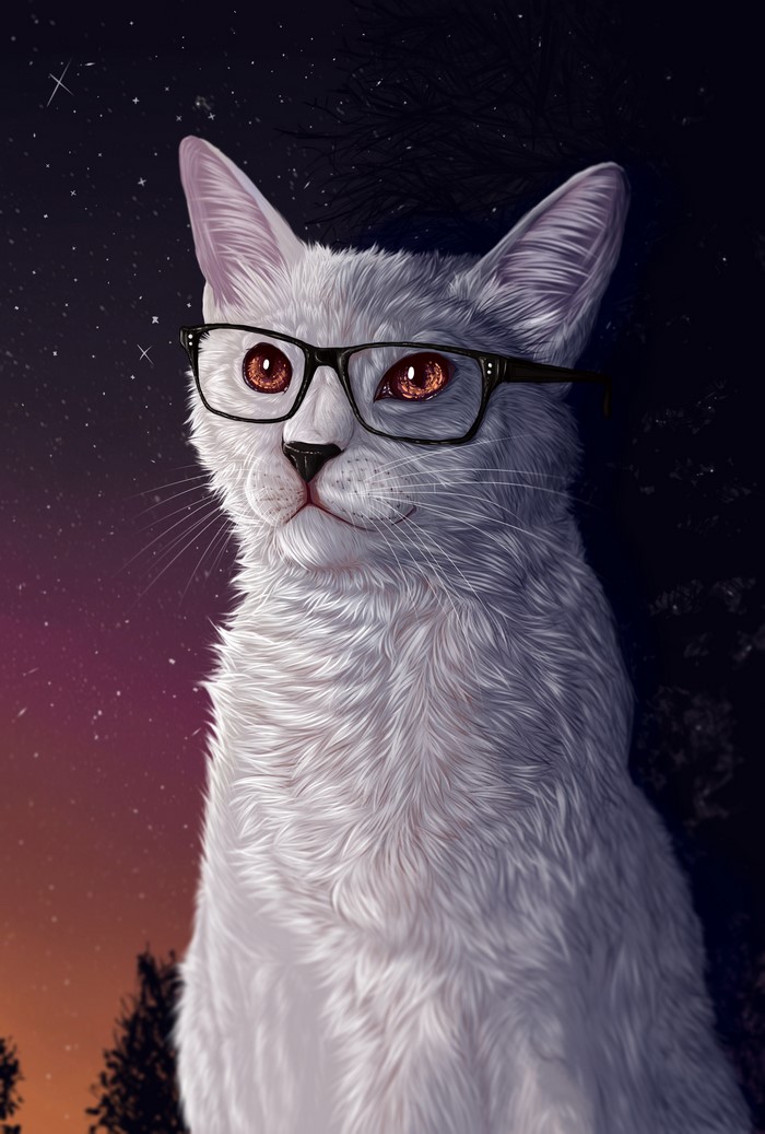 White cat wearing glasses against starry night sky