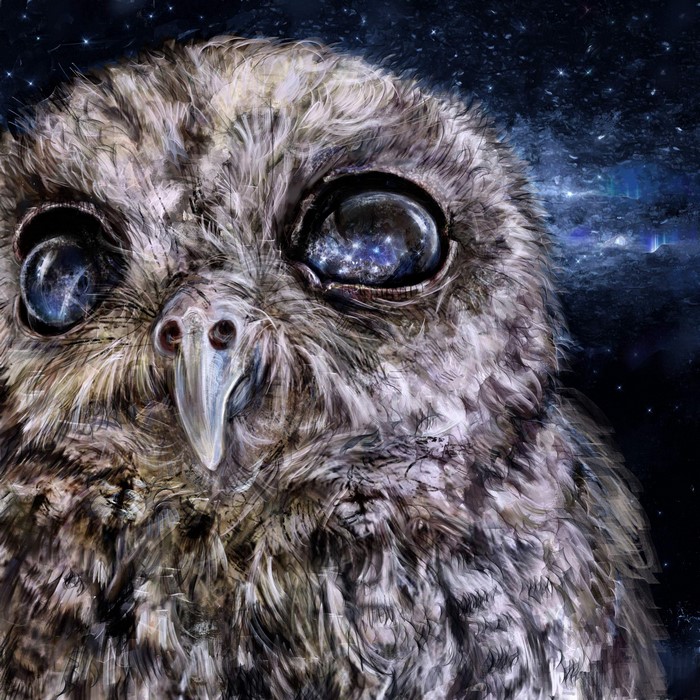 Close-up painting of an owl with cosmos eyes